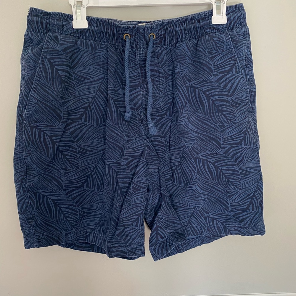LL Bean Mens Shorts